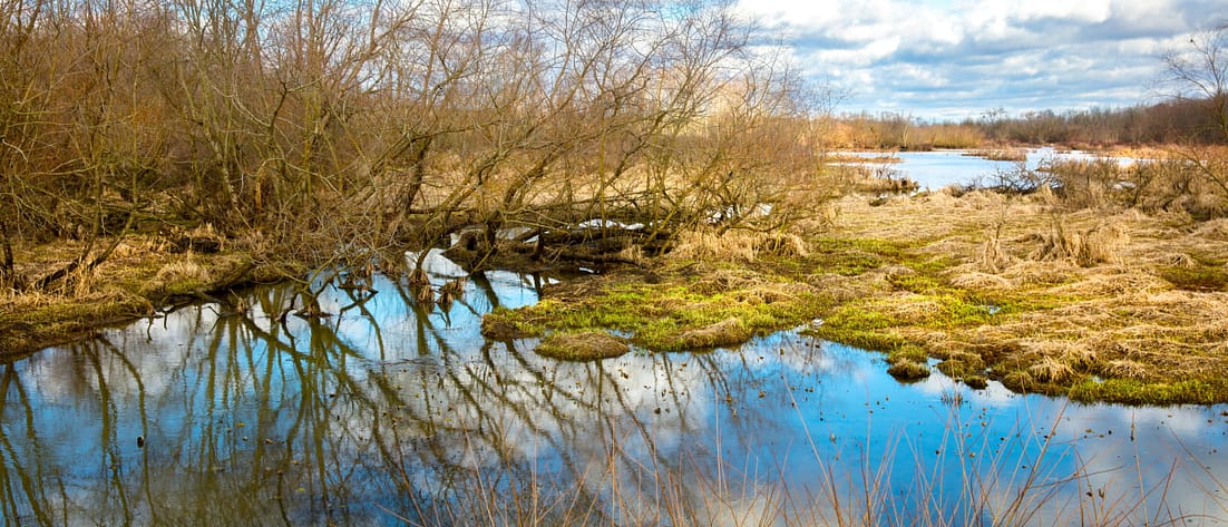 Moorlandschaft - Foto von Randy Fath auf Unsplash