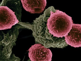 Impfstoff-basierte Immuntherapie gegen Krebs