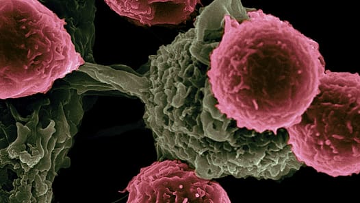 Impfstoff-basierte Immuntherapie gegen Krebs
