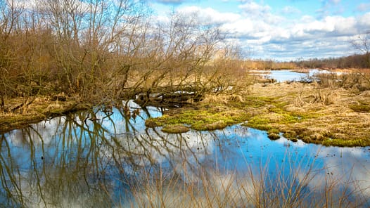 Moorlandschaft - Foto von Randy Fath auf Unsplash